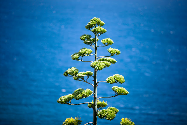 Nafplio -2.jpg