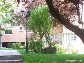 molinodelanavata2005.jpg