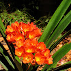 huntington gardens 049.JPG