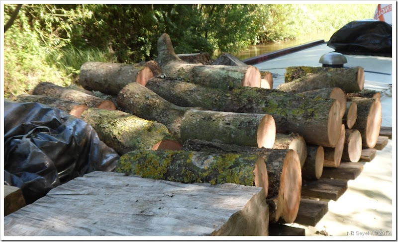 SAM_1097 Bit of wood SAM_1097 Bit of wood