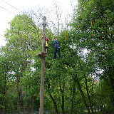 Downe Scout Camp - 3501626111.jpg
