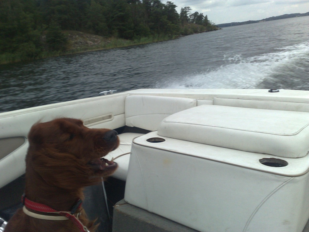 [Bild341%255B3%255D.jpg]