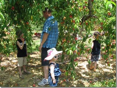 Huber's Winery (6)