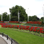 flower garden in London, United Kingdom 