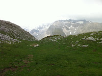 IMG_1346.JPG