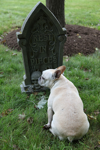 I don't know, Franny, here's a good chuckle!  'Rest in Pieces!'  It's really quite funny!