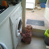2011-10-22 12.18.37.jpg