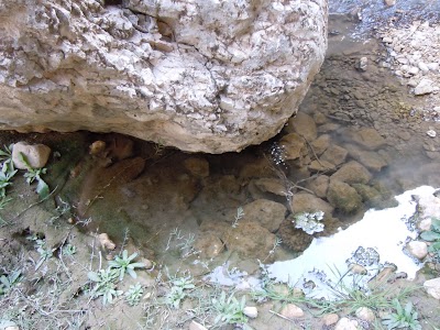 DSCN4004.jpg