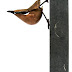 Object: 18784 - Boomklever - 10 cm -  € 1.240,=