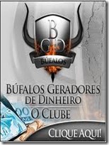 Bufalos geradores de dinheiro