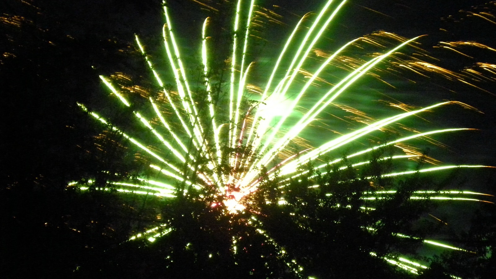 [Fireworks%2520Neighborhood%2520July%25202%252011%2520%25286%2529compressed%255B2%255D.jpg]