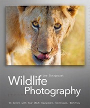 20111218-Wildlife-Photography-Free-Download-01