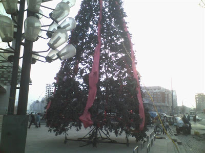 christtree (Medium).jpg