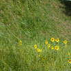 Austria Biker017.jpg