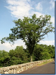 1129 Virginia - Shenandoah National Park - Skyline Drive