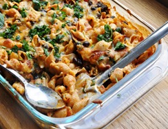 mexpasta 172