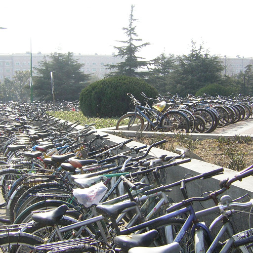 Parking à vélos à l'université Parking à vélos à l'université