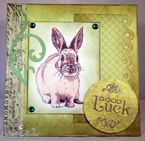 [go%252Bgreen%252Bsmall%255B3%255D.jpg]