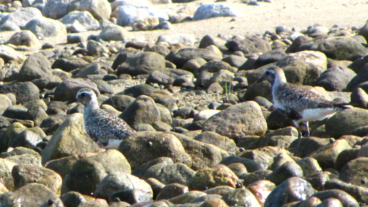 [Bluff%2520Point_063%255B4%255D.jpg]