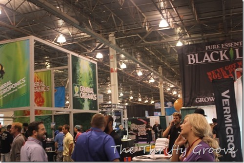 IMG_6258_thumb IMG_6258_thumb