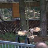 Cub Pack Holiday - Skreens Park 2012 - DSC_0175.jpg