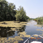 DSCN8322.JPG