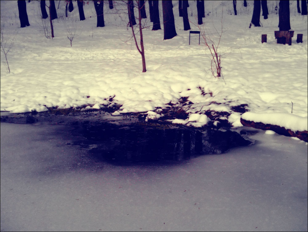 IMAG0130.jpg