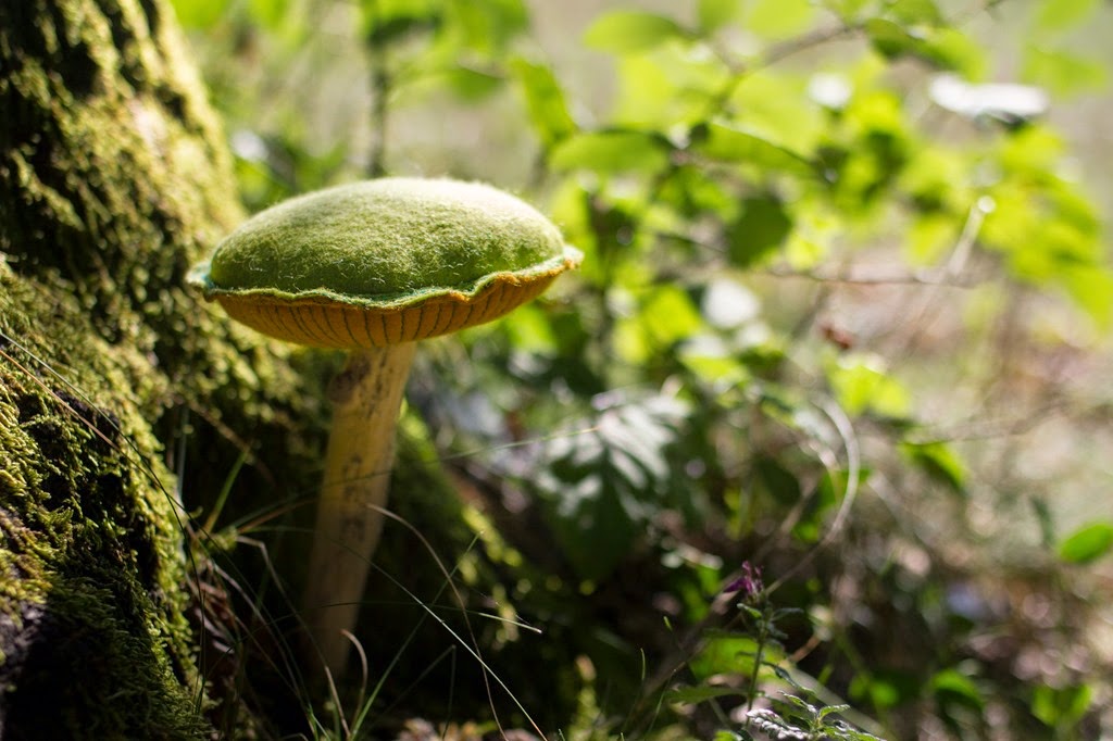 [FUNGHI%2520VERO%2520FALSO-003%255B4%255D.jpg]