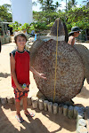 Praia do Forte 068.JPG