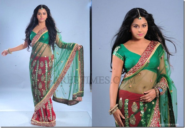 Rachana_Mourya_Green_Shimmer_Saree