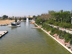 p1237340926(1).jpg