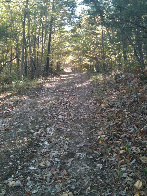 [IMG_1032%255B3%255D.jpg]