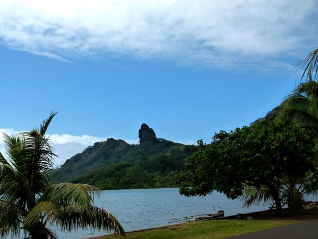 [P10204914.jpg]