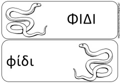 ζ8 ζ8