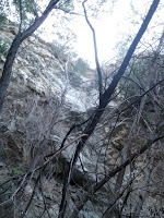 PC012367.JPG