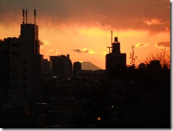 DSCF6793