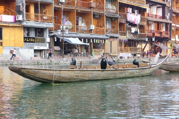 [IMG_2010%255B4%255D.jpg]