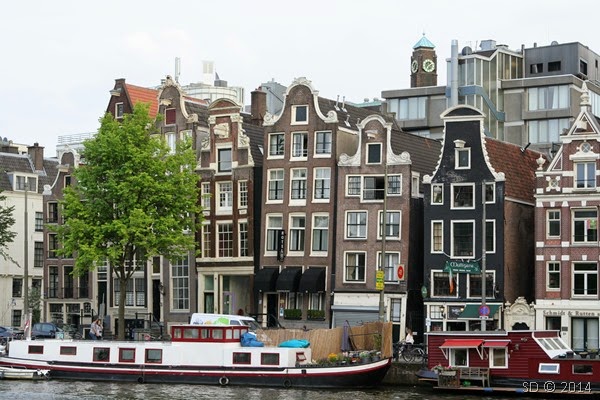IMG_7318 IMG_7318
