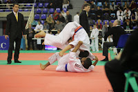 IMG_2304.jpg