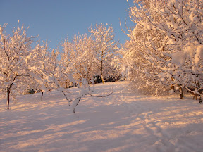 DSC01008.JPG