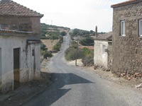IMG_1530 IMG_1530