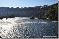 61-Cataratas del Rin (Schafhausen) - DSC_0383