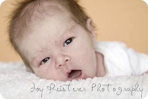 noahblogimg_0154