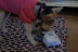 Christmas 2007