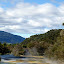 Geothermal Stream - Waimangu, New Zealand