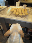 The glaze looks so pretty on the cookies.