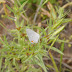 P1040313