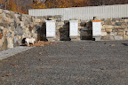 A New Location for the Honeybees