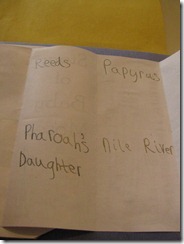 IMG_8594 IMG_8594