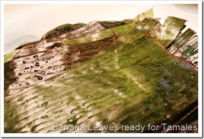 Tamal Huasteco3
